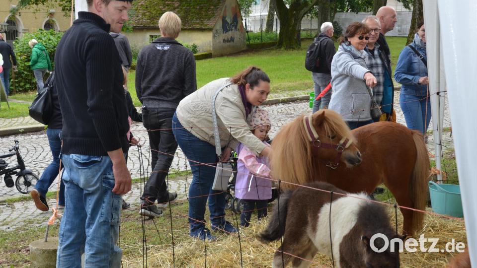 Die &quot;Minis vom Pfreimdtal&quot; waren immer dicht umringt. Bild: dob