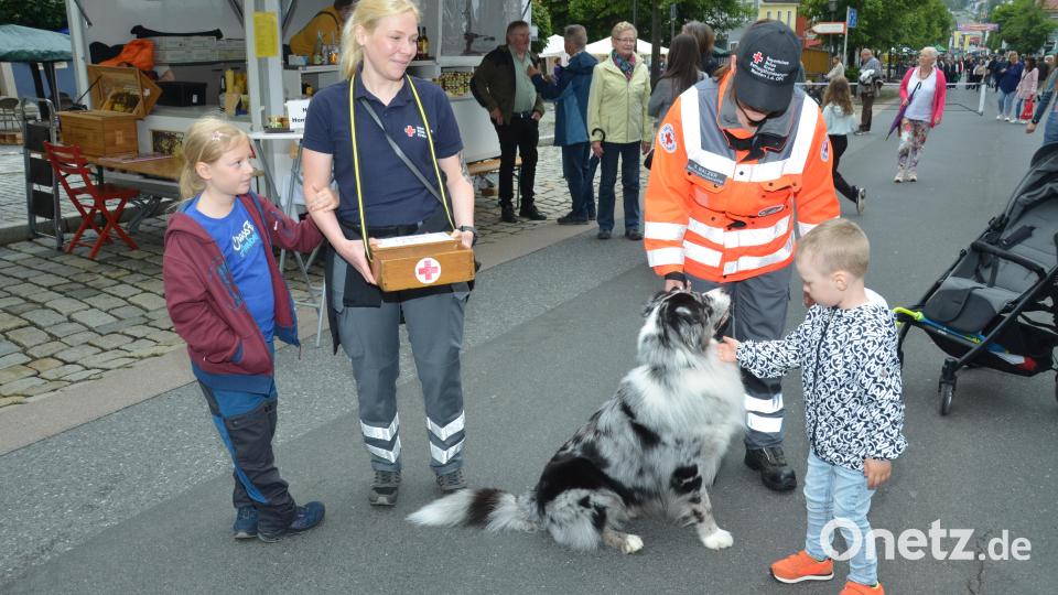 Die zehn Hunde der BRK-Rettungshundestaffel holten sich viele Streicheleinheiten ab. Bild: dob