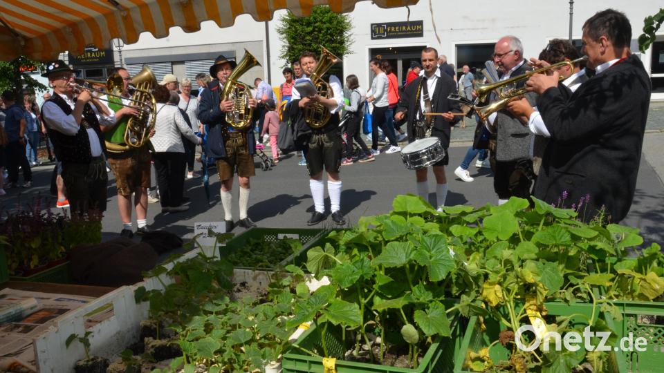 Die Gruppe &quot;Bayrisch Blech&quot; spielte auch vor Steinhilbers Gemüsestandl auf. Bild: dob