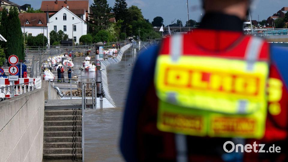 Schutzwände stehen am Ufer der hochwasserführenden Donau. Bild: Sven Hoppe/dpa