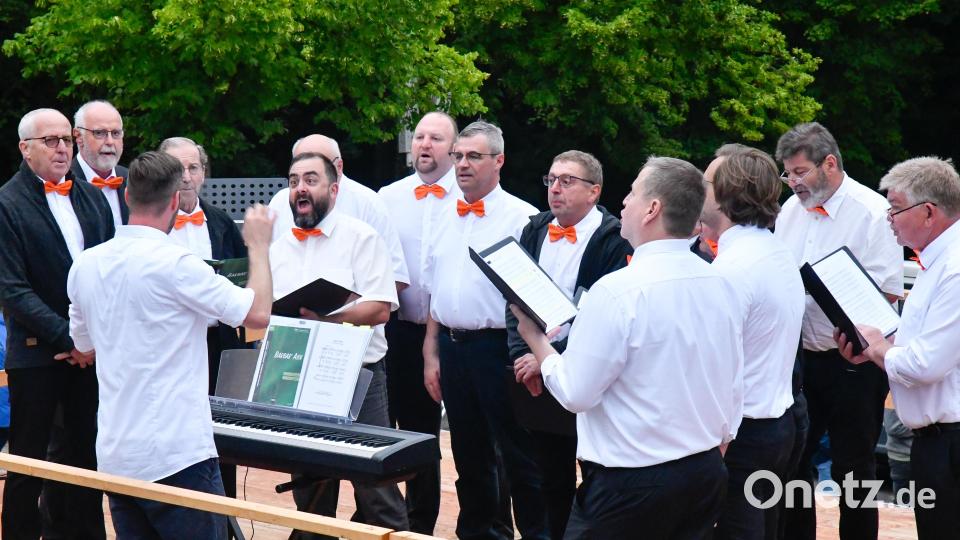 Der Gesangverein Alfeld unter Leitung von Roland Nitzbon. Bild: Petra Hartl