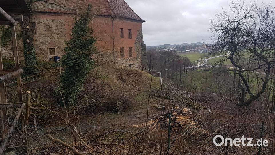 Durch eine Abholzaktion im Schlossgraben Burgtreswitz ist das Gebäude nun wieder weit ins Pfreimdtal hinunter sichtbar. Archivbild: Peter Garreiss