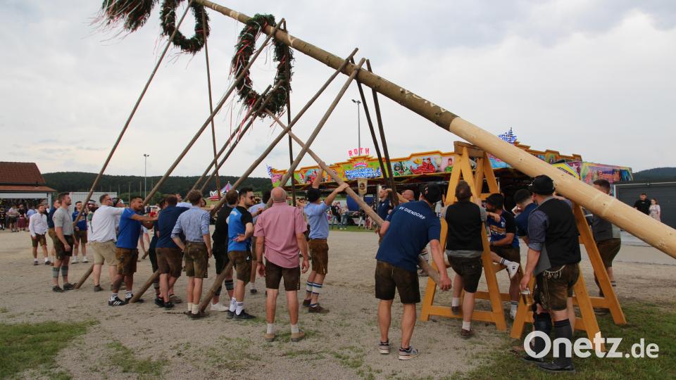 Die Diendorfer stellten den Kirwabaum heuer in Rekordzeit auf. Bild: Joseph Ferstl/exb