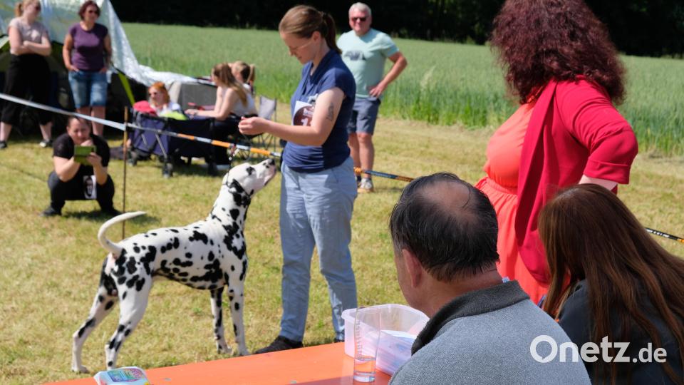 In Harmonie vereint zeigen sich Rassehund und Züchterin beim &quot;Richten&quot; im Viereck der Prüfungsarena Bild: do