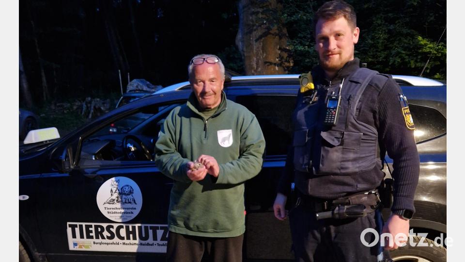 Polizeihauptmeister Christopher Müllner (rechts) übergibt den kleinen Mümmelmann an Peter Eberhardt vom Tierschutzverein Städtedreieck. Bild: Daniel Tröger, PI Neunburg/exb