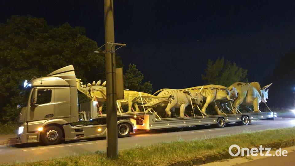 Tonnenschwere Dinosaurier-Modelle transportiert dieser Lkw durch Weiden. Bild: Michael Wagner/exb