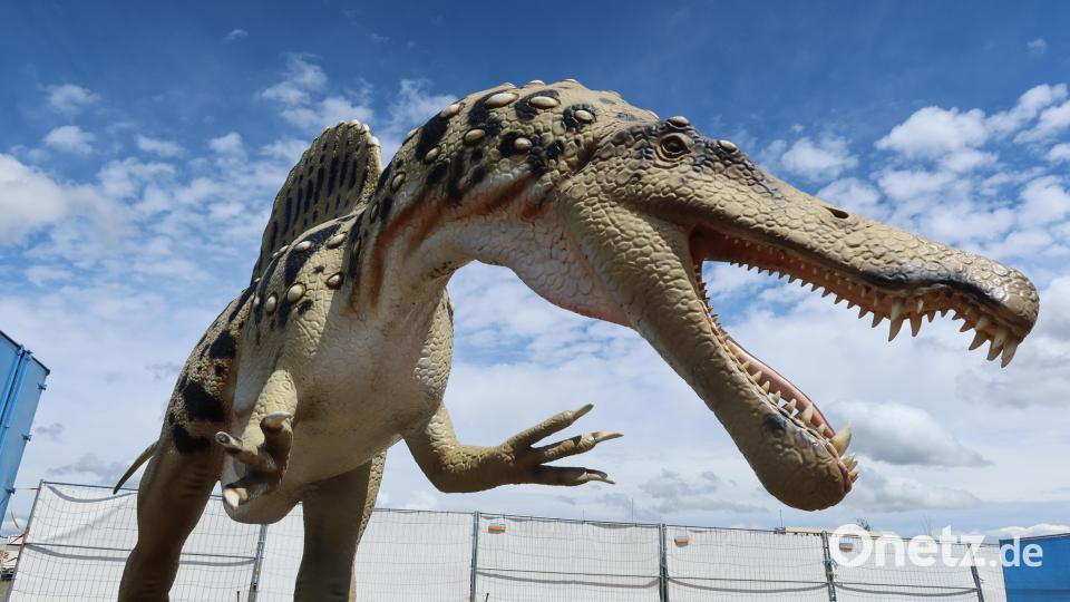 Rund 50 Kunststoff-Dinos stehen auf dem Festplatz in Weiden. Bild: Kunz
