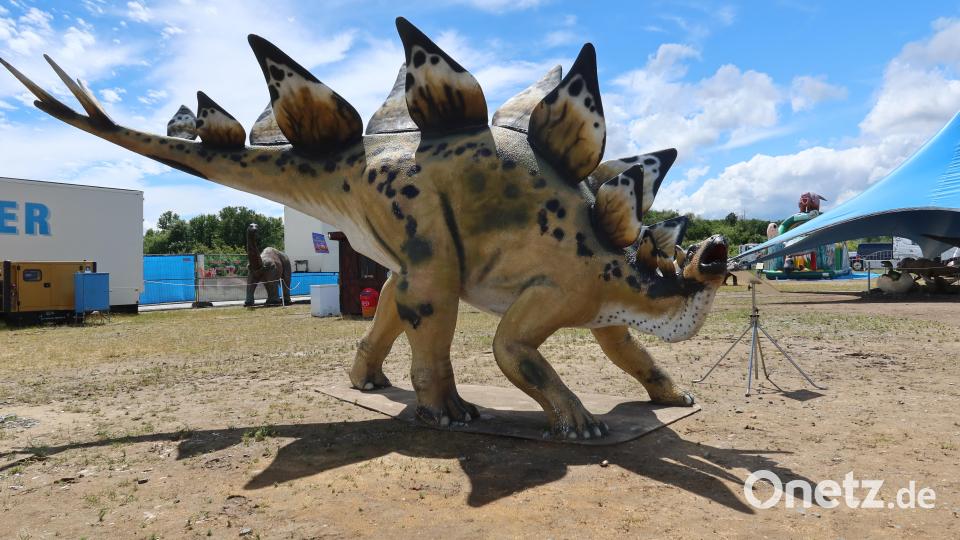 Die Nachbildungen sind teils mehrere Tonnen schwer. Bild: Kunz