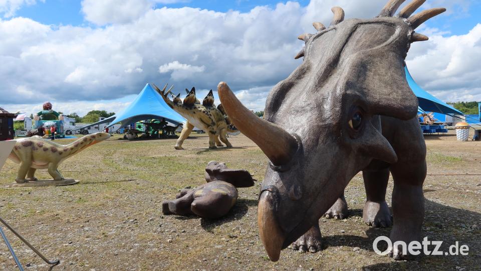 Den Kopf tief auf Angriff gesenkt: der Stegosaurus. Bild: Kunz