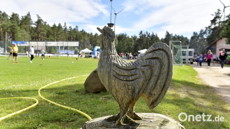 Der Hahn beobachtete alles ganz genau. Bild: Hubert Ziegler