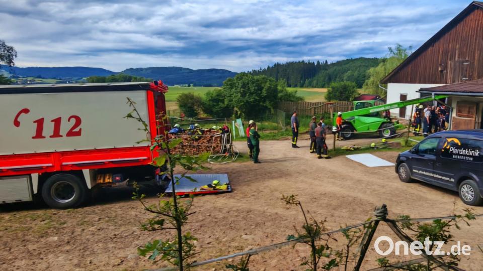 Die Feuerwehr Cham musste schweres Gerät auffahren, um ein Pferd bei Waldmünchen aus einem Schacht befreien zu können. Bild: Kreisbrandinspektion Cham
