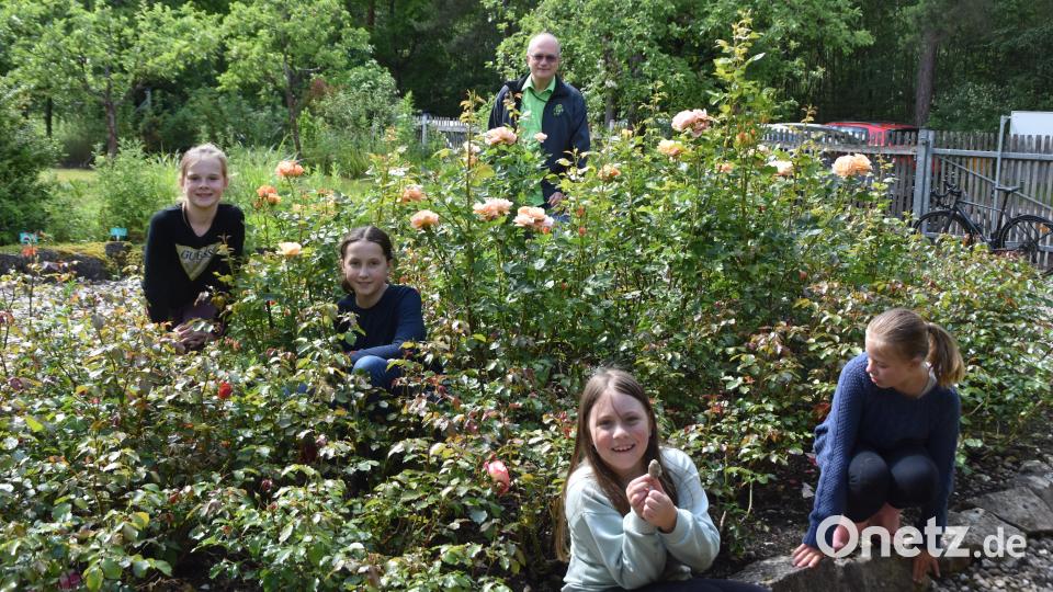 Auch die Kinder tummeln sich gerne im Rosenhain. Im Hintergrund ist Klaus Fischer, Vorsitzender des Obst- und Gartenbauvereins zu sehen. Bild: hcz