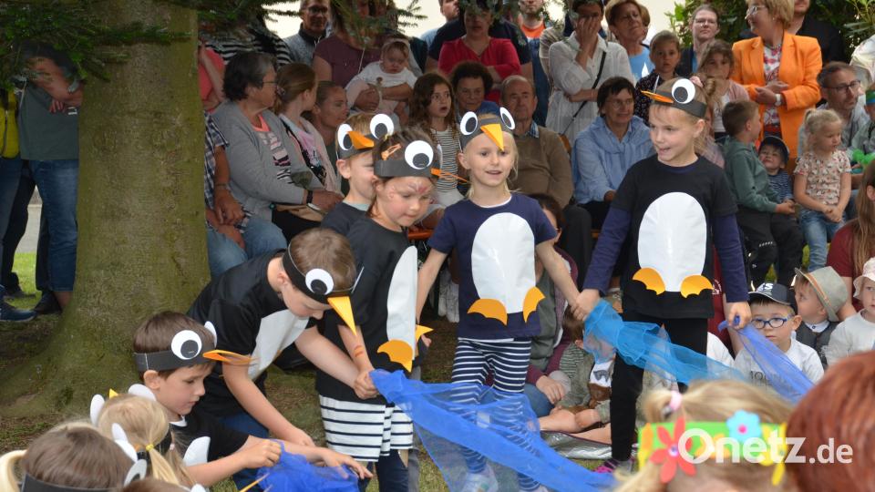 Die Pinguine sind sowohl im Wasser als auch an Land unterwegs. Lustig watscheln sie über den Rasen. Bild: dob