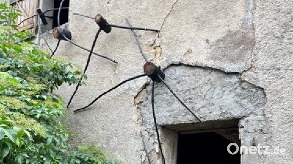Pauline Adler &quot;black spider&quot;. Bild: Pauline Adler/exb