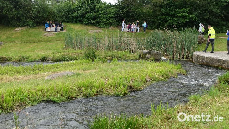 Die Wanderhilfe am Wehr ermöglich Fischen trotz des Hindernisses weiterzuziehen. Bild: WWA Weiden, Heidi Thiel/exb