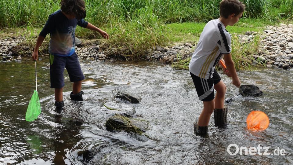 BayernTourNatur stand auf dem Programm des Wasserwirtschaftsamtes Weiden am Flutkanal. Bild: WWA Weiden, Heidi Thiel/exb