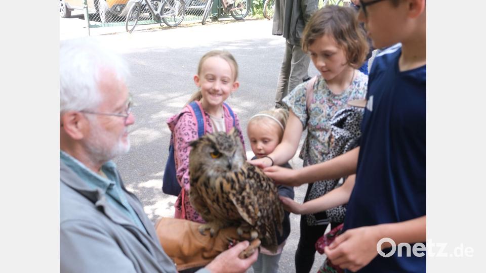 Der zahme Uhu Klaus aus der Auffangstation von Hans Weiß in Kümmersbuch ließ sich mit stoischer Ruhe von den Kindern streicheln. Bild: usc