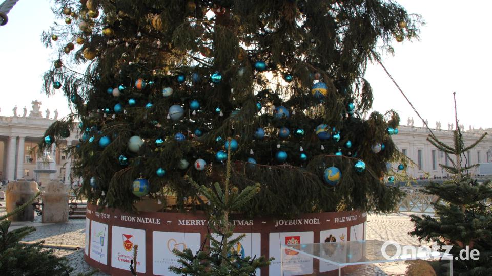 So sah es am Fuß des Baumes aus. Die Info-Tafeln informierten über die Spendenaktion und die drei Kommunen aus dem Landkreis Amberg-Sulzbach. Bild: upl