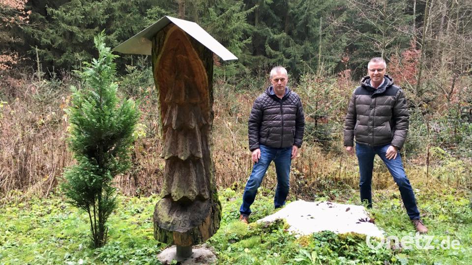 Hier ist er einst gewachsen, der Prachtbaum, der 2015 den Vatikan schmückte: Bernhard Wiesgickl (links) und Bürgermeister Hermann Falk im Wald zwischen Ehenfeld und Massenricht. Bild: upl