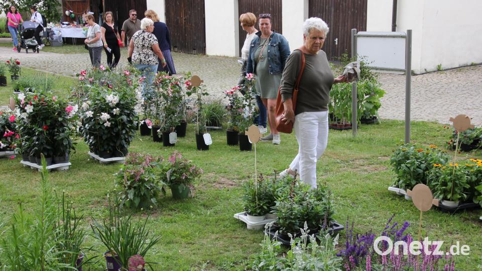 Auch im Garten des Amtsgerichts wurden Blumen angeboten. Bild: kro