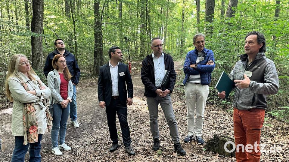 Ambergs Forstamtsleiter Martin Seits (rechts) erläuterte den Teilnehmern des &quot;Ge(h)sprächs&quot; bei einem Spaziergang durch den Stadtwald am Mariahilfberg die Prinzipien eines nachhaltigen Waldumbaus. Bild: Susanne Schwab