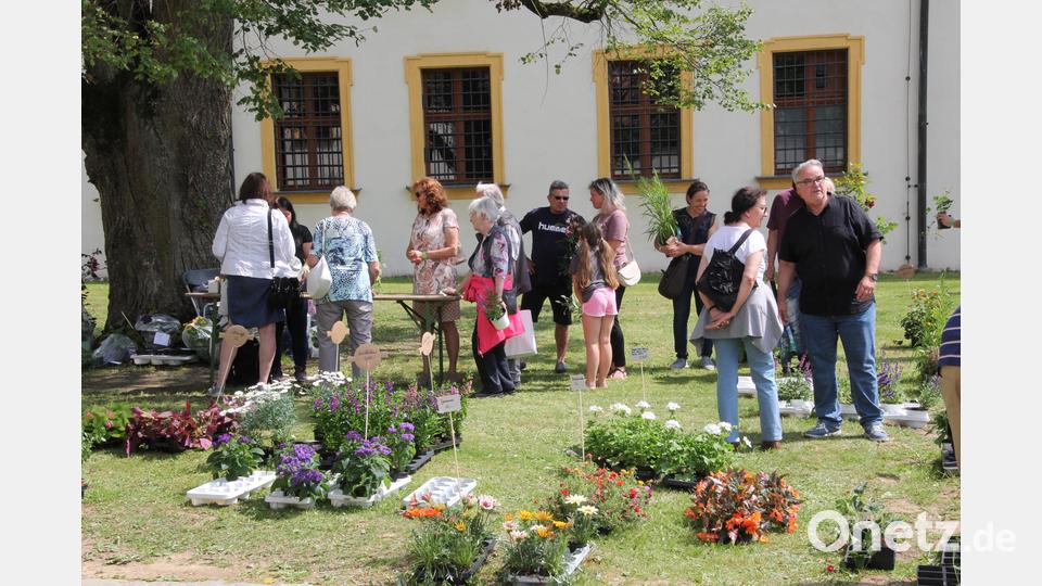 Mächtig was los war auch im Garten des Amtsgerichts. Bild: kro