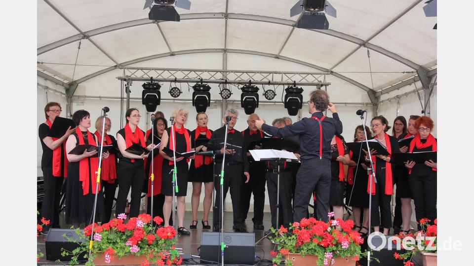 Eine Bereicherung der Gartentage und ein gesanglicher Hochgenuss: &quot;Music &amp; More&quot; aus Mitterteich. Bild: kro