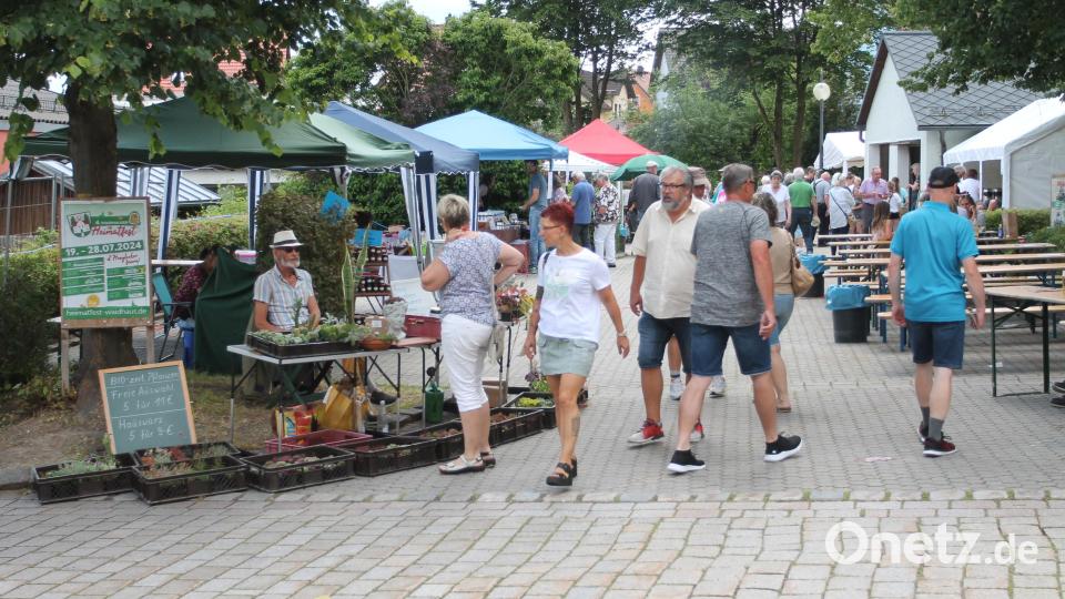 Der Garten-Ambientemarkt hat ebenfalls viel zu bieten. Bild: pi