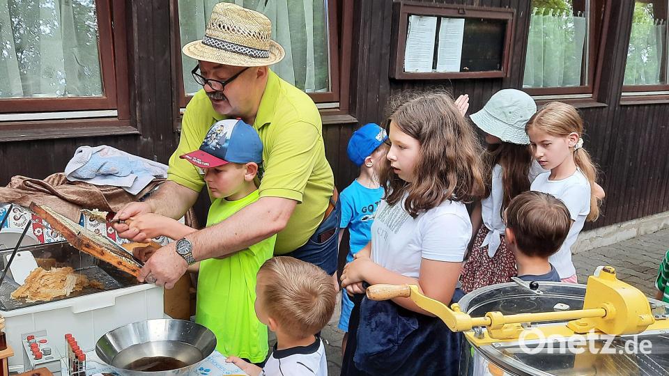 Alexander Ederle zeigte den Kindern wie man die Waben entdeckelt, damit man an den flüssigen Honig kommt. Bild: R. Kreuzer