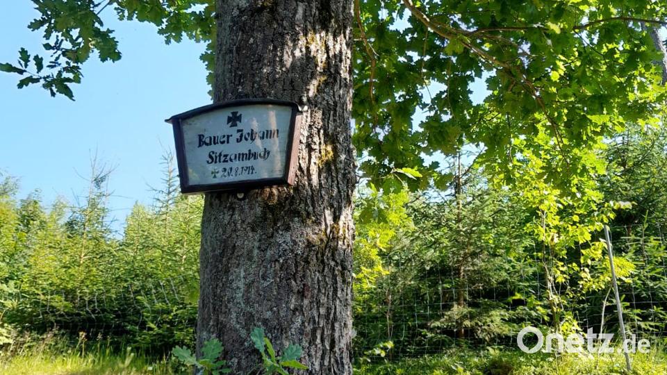 Jede Tafel und jeder Baum erinnert an einen Gefallen aus Kemnath und Umgebung. Bild: gri