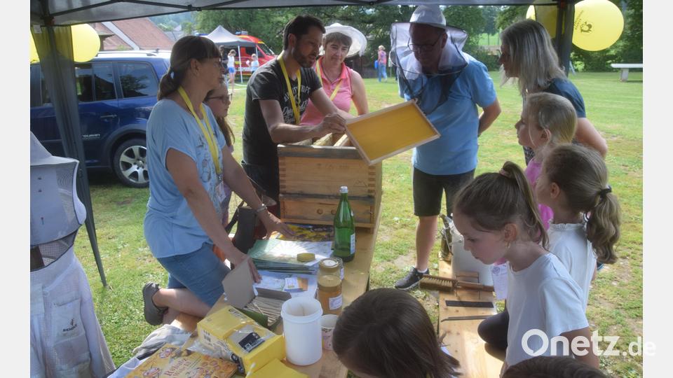Faszination Bienen. Großes Interesse bei den Kindern. Der Honig schmeckte auch. Bild: fz