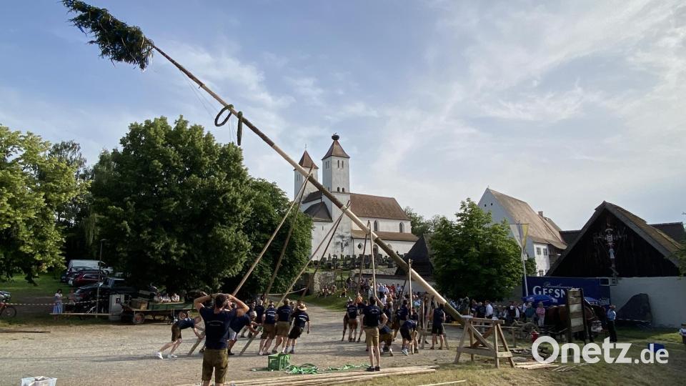 Das Aufstellen des Kirwabaums ist keine leichte Aufgabe bei fast 30 Grad Außentemperatur. Bild: aub