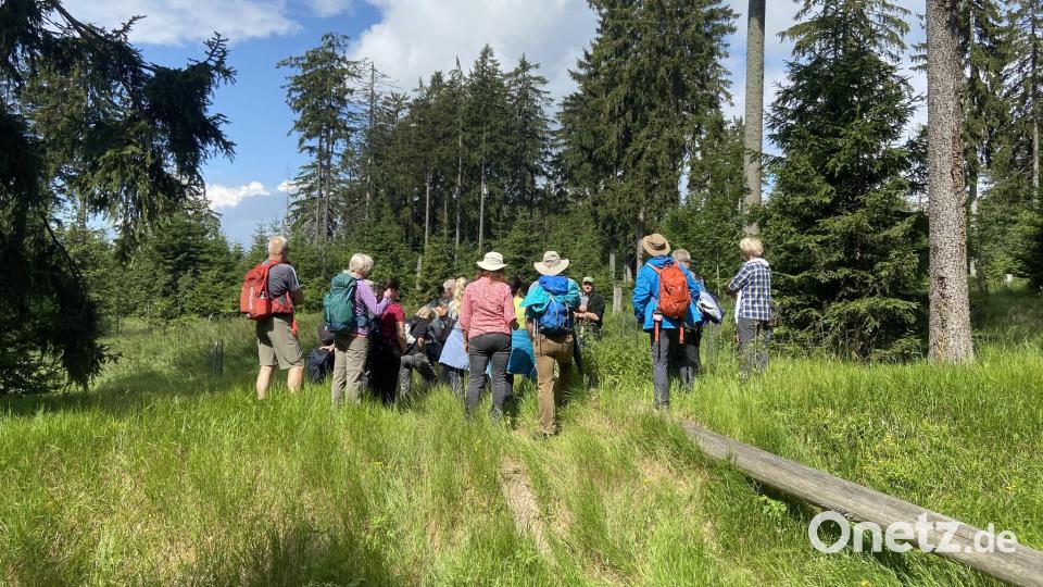 Die Tour „Der raue Steinwald – Wanderung zu Felsen und Mooren“ mit Referent Wolfgang Schödel besuchten insgesamt 30 Interessierte. Es war damit eine der beliebtesten Touren der Aktion „24 Stunden Steinwald erleben“. Bild: Steinwald-Allianz/exb