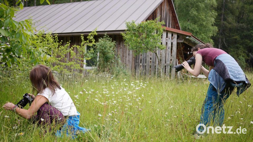 „Blümchen im Fokus“, hieß es beim Fotoworkshop mit Hobbyfotograf Martin Schmid an der Glasschleif bei Pullenreuth. Bild: Steinwald-Allianz/exb