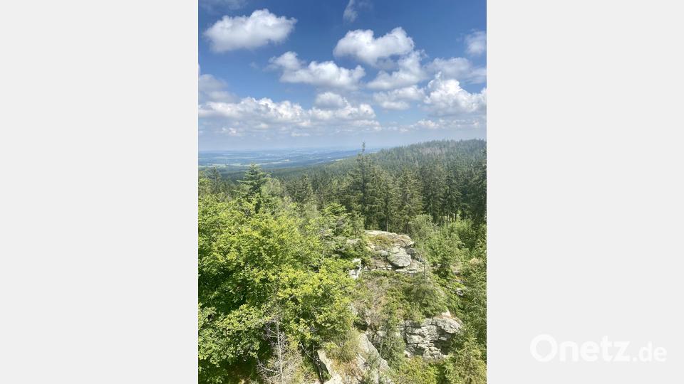 Diesen Ausblick vom Grandfelsen genossen die Teilnehmer am Sonntagvormittag bei der Wanderung: „Der raue Steinwald – Wanderung zu Felsen und Mooren“ mit Revierförster Wolfgang Schödel. Bild: Steinwald-Allianz/exb