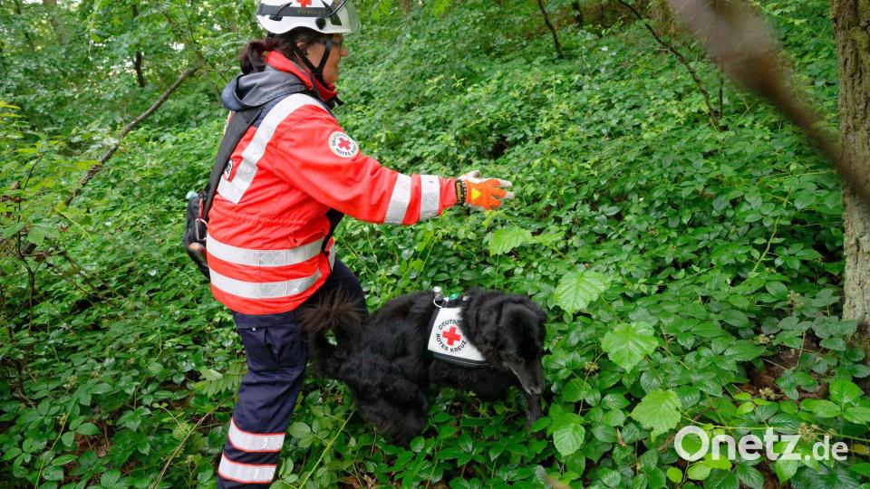 Polizei sucht mit Großaufgebot nach vermisstem Mädchen Bild: Henning Kaiser/dpa