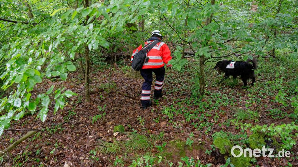 Polizei sucht mit Großaufgebot nach vermisstem Mädchen Bild: Henning Kaiser/dpa