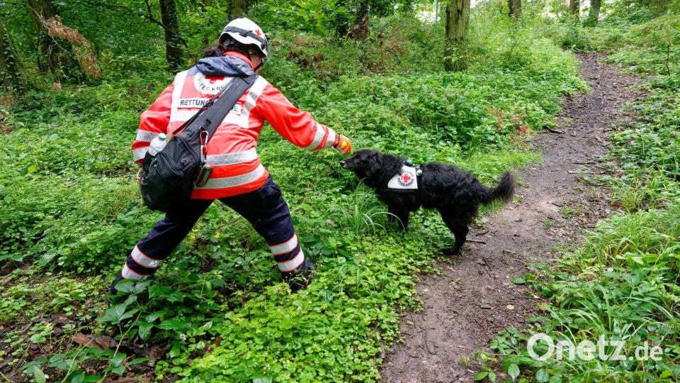 Polizei sucht mit Großaufgebot nach vermisstem Mädchen Bild: Henning Kaiser/dpa