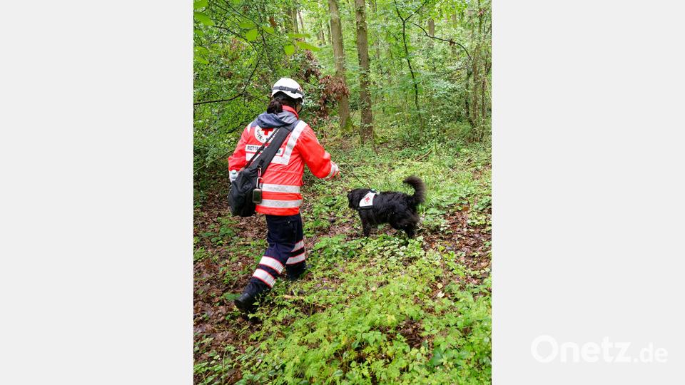 Polizei sucht mit Großaufgebot nach vermisstem Mädchen Bild: Henning Kaiser/dpa