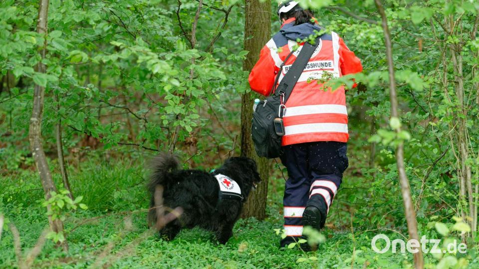 Polizei sucht mit Großaufgebot nach vermisstem Mädchen Bild: Henning Kaiser/dpa