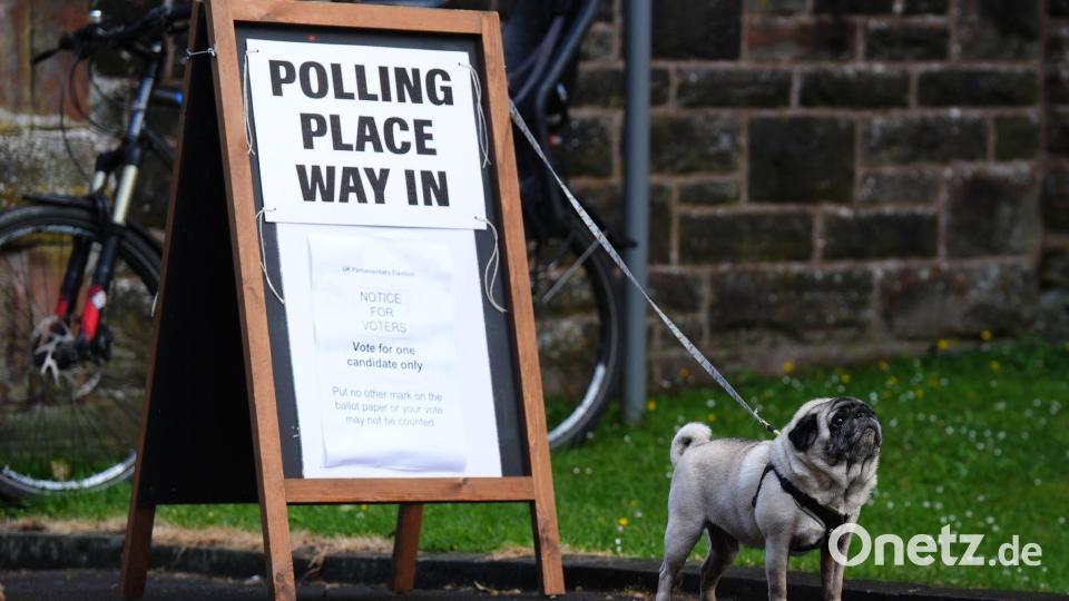 Die Menschen in Großbritannien gelten als besonders tierlieb und bringen ihre Hunde oft zum Wählen mit. Bild: Andrew Milligan/PA Wire/dpa