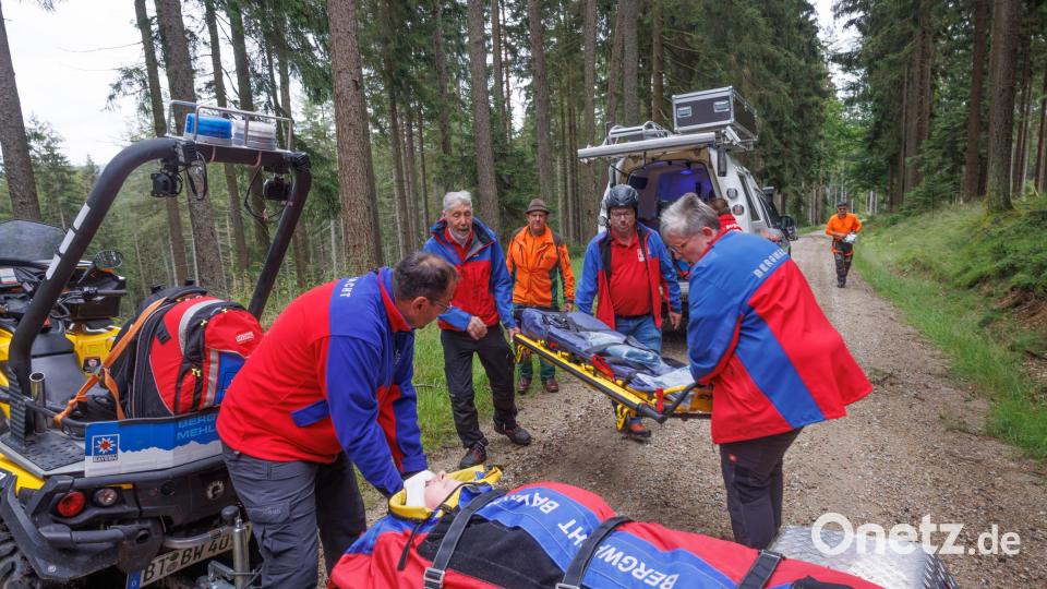 Helfer der Bergwacht Mehlmeisel verladen bei einer Rettungsübung die „verletzte“ Försterin Miriam Lang in den Rettungswagen. Bild: Martin Hertel/Forstbetrieb Fichtelberg/exb