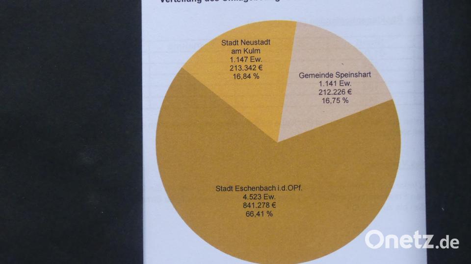 Die Grafik gibt Aufschluss zur Verteilung der zu erbringenden Umlagen. Bild: rn
