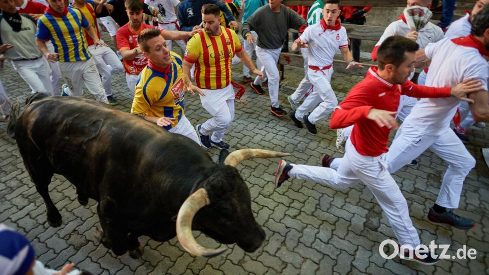 Die schlimmsten Verletzungen gibt es in der Regel durch die spitzen und langen Hörner der Bullen. Das kommt jedoch eher selten vor. Die meisten Läufer ziehen sich Prellungen zu, wenn sie bei der wilden Jagd übereinander fallen. Bild: Elsa A Bravo/SOPA Images via ZUMA Press Wire/dpa