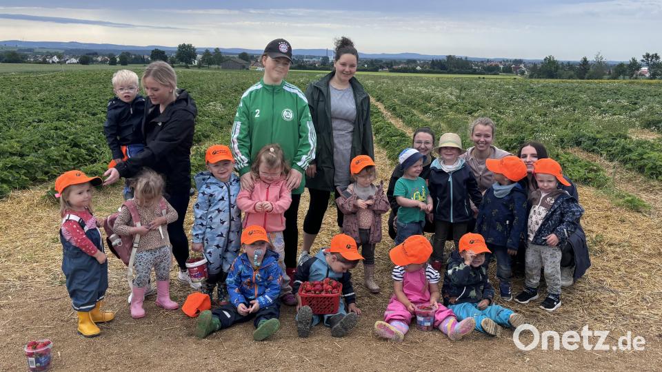 Viel Spaß hatten Krippenkinder des Kinderhauses Purzelbaum Mitterteich bei einem Ausflug zu einem Erdbeerfeld. Bild: Verena Burger/exb