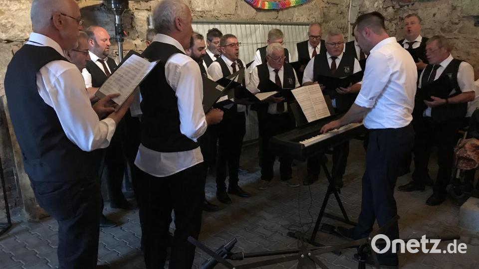 Erstmals waren der Gesangsverein Alfeld unter Roland Nitzbon beim Sommernachtsfest der Männerchöre in Hahnbach dabei. Bild: mma