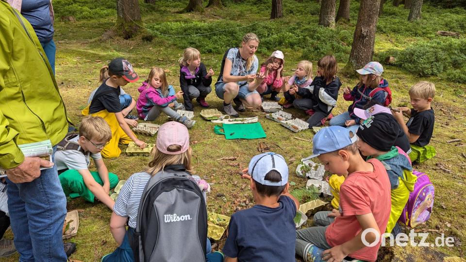 Pflanzenkunde, die Gestaltung von kleinen Kunstwerken mit natürlichen Materialien und Orientierung im Wald waren Bestandteile der Prüfung. Bild: Bastian Roth/exb
