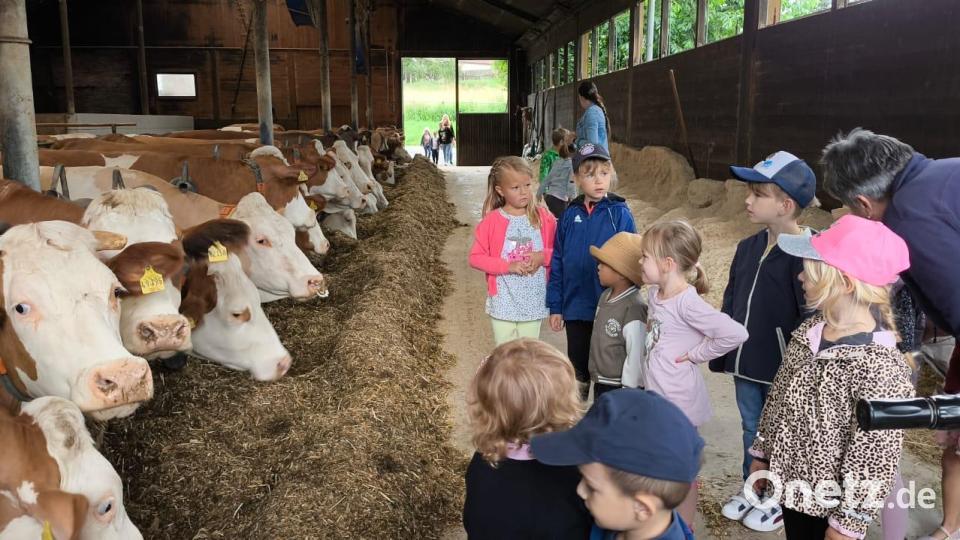 Viel Interessantes gab es auf dem Bauernhof der Familie Rosner in Kondrau zu entdecken. Bild: Vanessa Rosner/exb