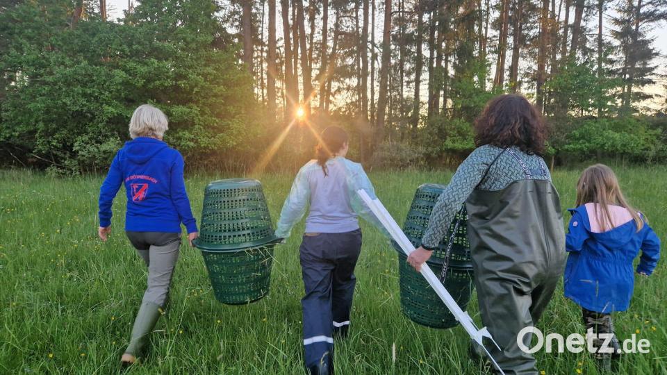 In den frühen Morgenstunden machen sich die Kitzretterinnen auf, um Rehbabys, die gefunden wurden, mit Körben in Sicherheit zu bringen. Bild: Christl Schemm/exb