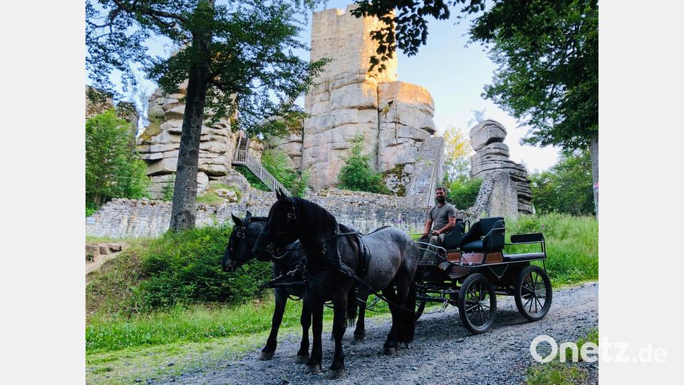 Seit 2023 gibt es bei „Bio erleben“ einen Kutschen-Samstag: Hier ist die Kutsche vor der Burgruine Weißenstein im Steinwald zu sehen. Bild: Thomas Engelhardt/exb